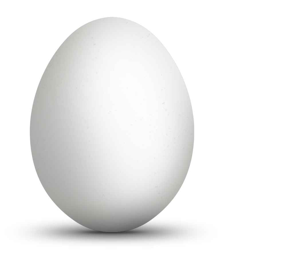 Яйцо картинка. Яйцо белое. Белое яйцо на белом фоне. Яйцо гусиное на белом фоне. Белые предметы.